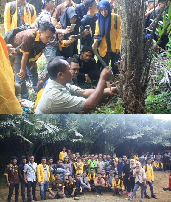Fakultas Pertanian UNPAB Field Trip Ke Kebun Salak dan Kurma Desa Tiga Juhar fakultas-pertanian-unpab-field-trip-ke-kebun-salak-dan-kurma-desa-tiga-juhar-_20.jpg