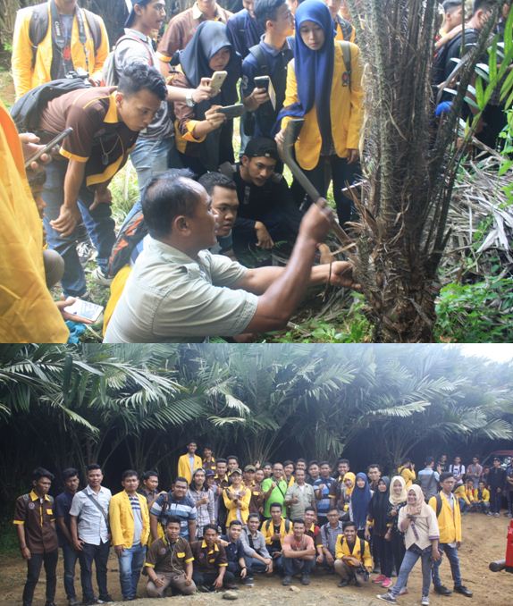 fakultas-pertanian-unpab-field-trip-ke-kebun-salak-dan-kurma-desa-tiga-juhar-_20.jpg