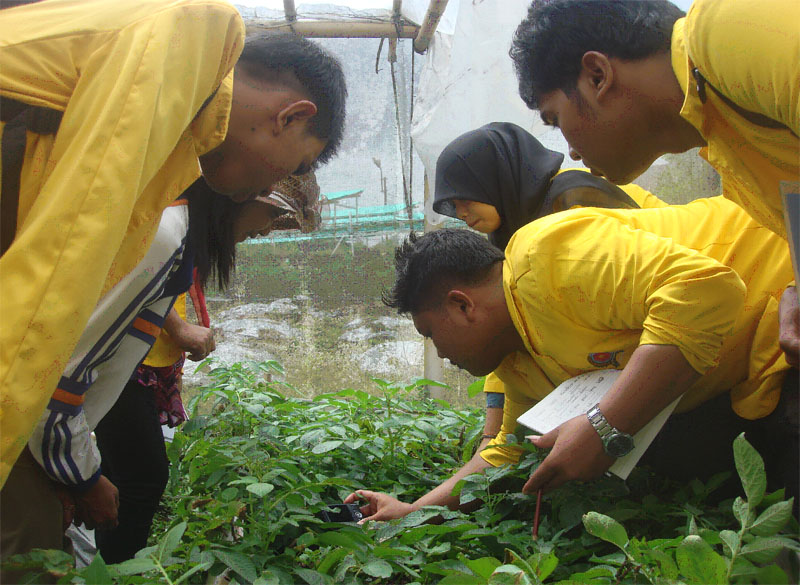 field-trip-mahasiswa-prodi-agroekoteknologi-ke-kebun-percobaan-balai-penelitian-sayur-tongkoh-berastagi_57.jpg