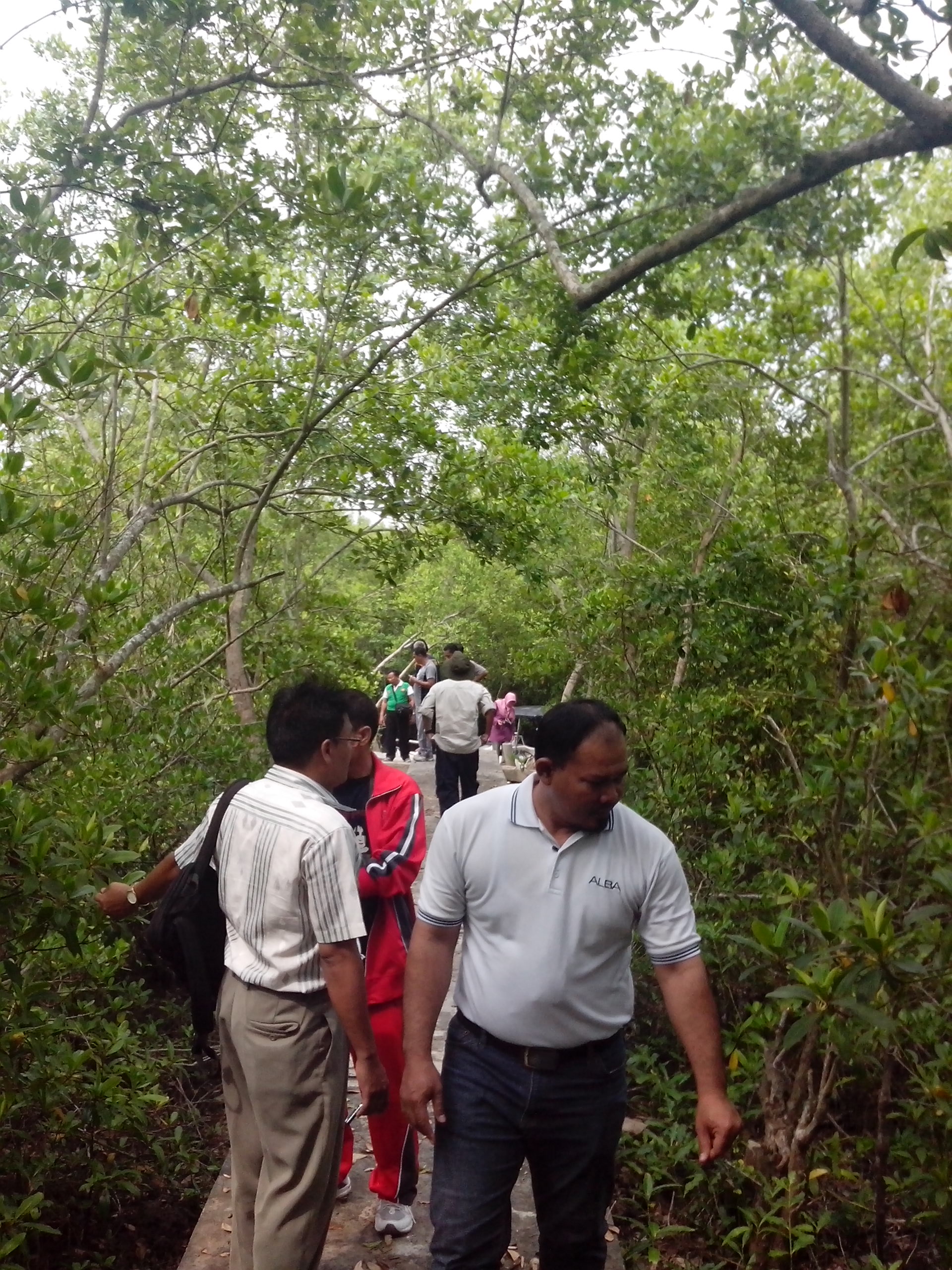 lppm-dan-ngo-yagasu-bekerja-sama-dalam-penelitian-tentang-perhitungan-cadangan-karbon-ekosistem-mangrove-hasil-restorasi-di-pantai-timur-sumatera-utara-untuk-mitigasi-perubahan-iklim-global_91.jpg