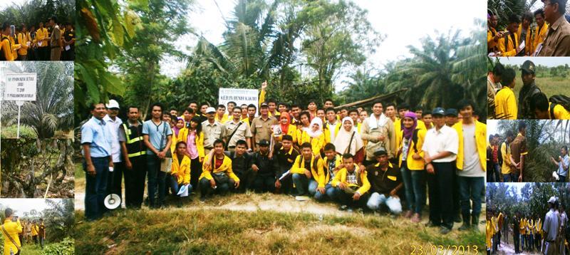 perkuliahan-berbasis-practical-science-mahasiswai-pertanian-program-studi-agroekoteknologi-unpab-di-perkebunan-kelapa-sawit-dan-kakao-ptpn-iv-adolina_30.jpg